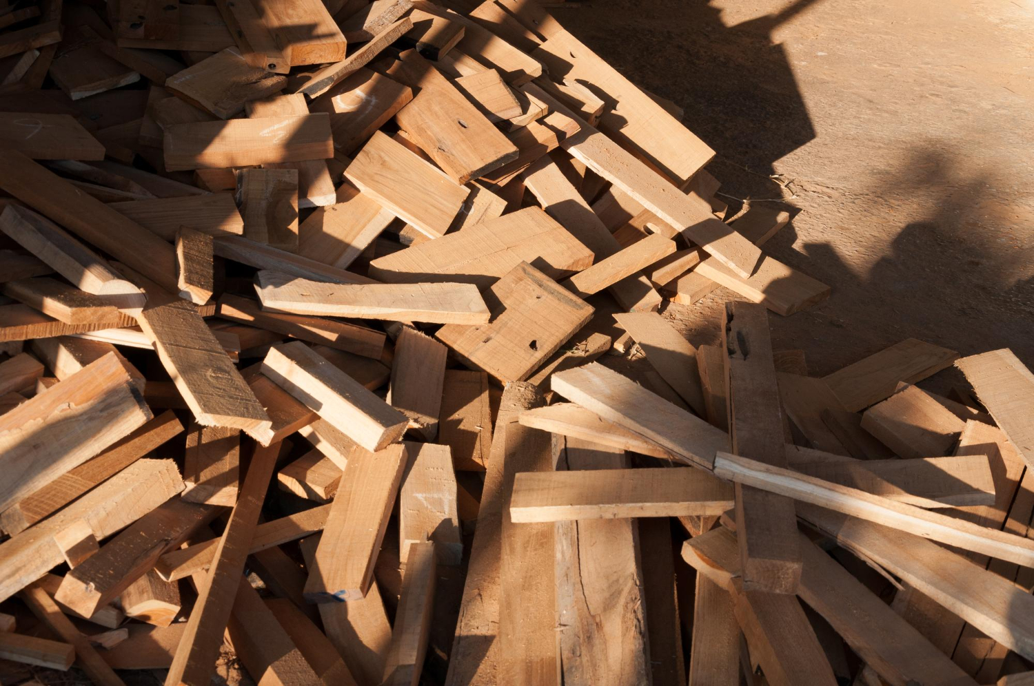 Beyond Construction: Ensuring Wood’s Long-Term Sustainability