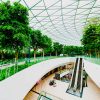 Part 2: Innovations for a Greener Urban Landscape